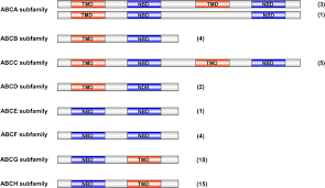 With abc pest control providing pest treatment & control to over 100+ cities throughout the tampa bay area, our trained technicians are always ready to help protect contact us. Identification Of Candidate Atp Binding Cassette Transporter Gene Family Members In Diaphorina Citri Hemiptera Psyllidae Via Adult Tissues Transcriptome Analysis Scientific Reports