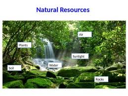 Natural Resources Vs Manmade Resources Powerpoint Natural Resources Nature Powerpoint