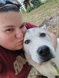 Lost bloodhound in Stakes Grade Rd and Debron Ct area