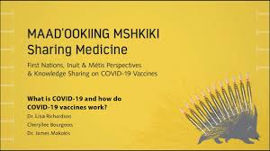Ontario's online vaccine appointment portal to open on march 15; Covid 19 Vaccine Ck Public Health