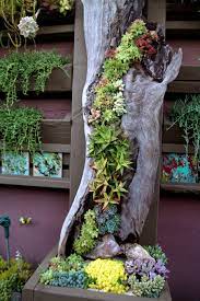 Making a cactus garden | fall for foliage подробнее. 70 Indoor And Outdoor Succulent Garden Ideas Shelterness