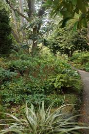 We did not find results for: Garden Inspiration From British Columbia Part 2 Finegardening