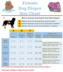 Details About Ciao Chow Female Dog Diapers Adjustable Absorbent Easy To Care For Along