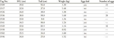 Size And Reproductive Status Of Adult Female Green Iguanas