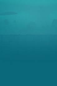 All money premium plants cost usd$6.99/aud$7.99/€5.49/£4.99 (more for seasonal plants when they are available out of season), . Arena Seasons And What You Need To Know