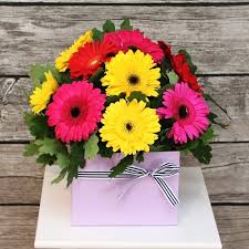 Maybe you would like to learn more about one of these? Cbd Florist