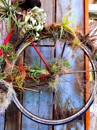 Diese 60 Diy Ideen Fur Hangende Garten Liegen Voll Im Trend Luftpflanzen Pflanzen Diy Gartendekoration