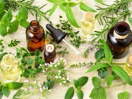 Mentha Oil Mentha Oil Falls On Weak Fundamentals The