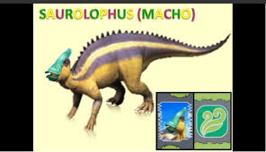 Todas las cartas y dino saurios. Saurolophus Macho Dibujo De Dinosaurio Arte De Dinosaurio Dino Rey Cartas