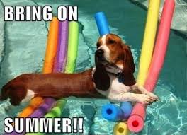 And whatever it is you other folks celebrate. 90 Best Summer Memes