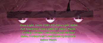 The cob grow light review below will compare various models of cob led grow lights and try and help you find the best one. Newst Full Spectrum Grow Lights Niello Cob D Series Grow Light Equiped With 3 3000k Cobs Which Are Special Grow Lights Led Grow Lights Grow Lights For Plants