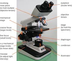 Instruments Of Microscopy Microbiology