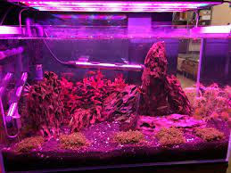 See more ideas about aeroponics, aquaponics, aquaponics system. Led Grow Lights Dc12v Full Spectrum Dimmable 40 To 90cm Tank Growing Aquarium Light Aquarium Fish Tank Lights Light For Aquariumlight Aliexpress