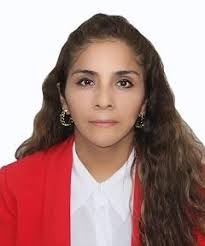 Autónoma Virtual: Plana Docente