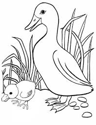 Wood duck coloring page a popular ncma sculpture by allen bertoldi, wood duck with its mirrored reflection appears to float in a pond located in the field behind the mansion. Duck Duckling Coloring Pages Coloring Pages Ideas