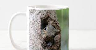 Eastern Gray Squirrel Coffee Mug Photography Gifts Diy Custom Unique Special Eastern Gray Squirrel Diy Stuffed Animals Coffee Mugs
