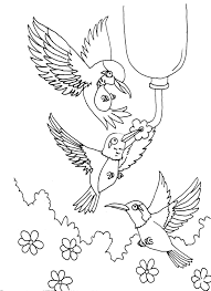 Each printable highlights a word that starts. Free Printable Hummingbird Coloring Pages For Kids