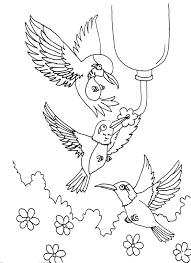More 100 coloring pages from animal coloring pages category. Free Printable Hummingbird Coloring Pages For Kids