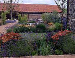 Norfolk Garden Design Jackie Finch Garden Design Garden Plants