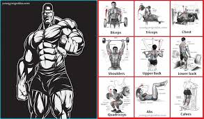It's also important to consider how heavy the weights are. How To Lift Weights To Gain Build Muscle How Bodybuilders Do It Health Gym Guide