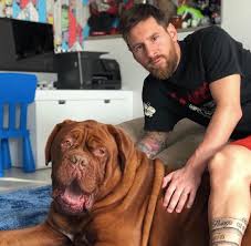 A post shared by leo messi (@leomessi) on jan 26, 2016 at 9:48am pst within less than a year, the puppy has grown into a very good dog — a giant one. Sportbible Lionel Messi S Dog Is Now Officially Bigger Facebook