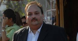 Fugitive diamantaire mehul choksi is understood to have gone missing in antigua and barbuda with the police launching a manhunt to trace him since sunday, local media outlets reported. Pnb Scam Mehul Choksi Tells Court He Has Offered To Settle Dues Accuses Ed Of Misleading Probe