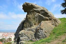 Image result for niobe