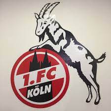 Fc köln eine spielzeit abgeschlossen hat und in welcher liga er aktiv. Fc Koln 1080p 2k 4k 5k Hd Wallpapers Free Download Wallpaper Flare