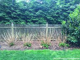 Winter mulching tips for butterfly bush & hydrangeas. Winter Kill Hydrangeas Care