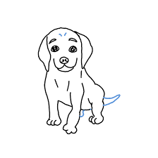 Check spelling or type a new query. How To Draw A Pitbull Step By Step Easy Drawing Guides Drawing Howtos