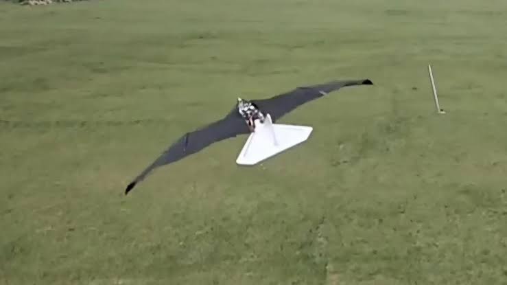 El dron que parece un pájaro para vigilar y atacar sin ser detectado: la aeronave que va a cambiar el espionaje