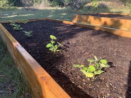 We did not find results for: How To Make The Most Out Of A Small Garden Life Family Joy