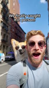 That. Was. Epic. 😳 @MattyandKaido #dogbackpack #dog #awoo