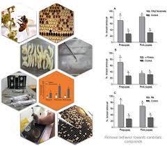 Jorge segura clará's instagram profile has 407 photos and videos. Temporal Changes In Volatile Profiles Of Varroa Destructor Infested Brood May Trigger Hygienic Behavior In Apis Mellifera Entomologia Experimentalis Et Applicata X Mol