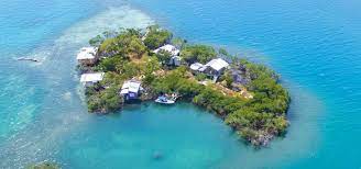 Choosing and placing the right plants : Photo 1 Of 4 In You Can Own An Entire Island In Belize For Under 500k Dwell