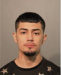 ᐅ Illinois Criminal Records 2009-2026