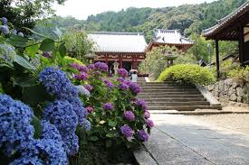 矢田寺（奈良） お地蔵さんとあじさいのお寺【御朱印】 | 関西の寺社めぐり