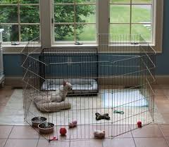 Crate training is the process of teaching a pet to accept a dog crate or cage as a familiar and safe location. Puppy Crate Cheaper Than Retail Price Buy Clothing Accessories And Lifestyle Products For Women Men