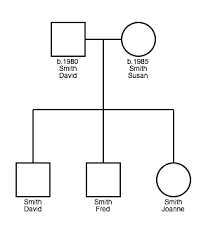 Genial Genetics Pedigree Charts And Communication Genial