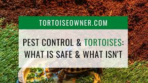 Feed farmers almost with (22) pest control. Pest Control Tortoises What Is Safe What Isn T Tortoise Owner