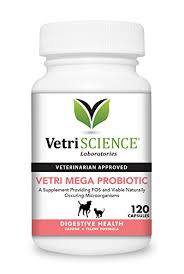 Check spelling or type a new query. 5 Best Probiotics For Dogs 2021 Review Treehousepuppies