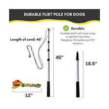 I'm sure you can modify these as needed. Flirt Pole For Dogs With Safe Strong Non Bungee Cord Durable Telescopic Lure Stick For Dogs Of Any Size Dog Toy For Fun Obedience Training Exercise Braided Fleece
