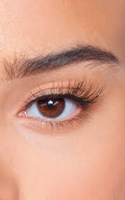 Ardell professional lashes wispies 113. Ardell Lashes Wispies 113 5 Pack Ardell Lashes Ardell Lashes Wispies Ardell Lashes Faux Mink