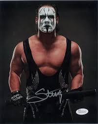 As sting has abruptly reached the end of his wwe journey, it's hard not to look back and dissect the steps he took to get there. Sting Wwe Steve Borden Autographed 8x10 Short Wrestling Photo Jsa Coa Da Card World