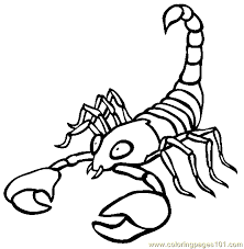 Scorpion coloring page scorpion printable coloring page, free to download and print. Scorpio Coloring Page For Kids Free Scorpion Printable Coloring Pages Online For Kids Coloringpages101 Com Coloring Pages For Kids