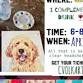 Embellished Pet Portrait Class @ Slow Play