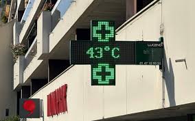 Trend Google: caldo