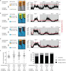1), which makes it easy to recognize in the field and. Frontiers Light And Temperature Synchronizes Locomotor Activity In The Linden Bug Pyrrhocoris Apterus Physiology