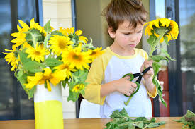 Compare programs, find top rated classes for specific skills, and follow links to the best resources. Free Online Parenting Course Triple P Positive Parenting Program How We Montessori