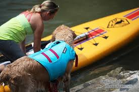 ruffwear float coat dog life jacket review 2018